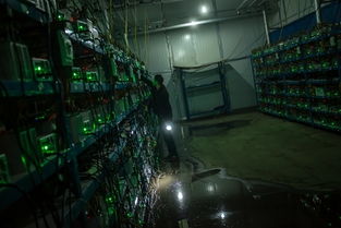 Mining rigs stacked in a data center, representing the initial investment.